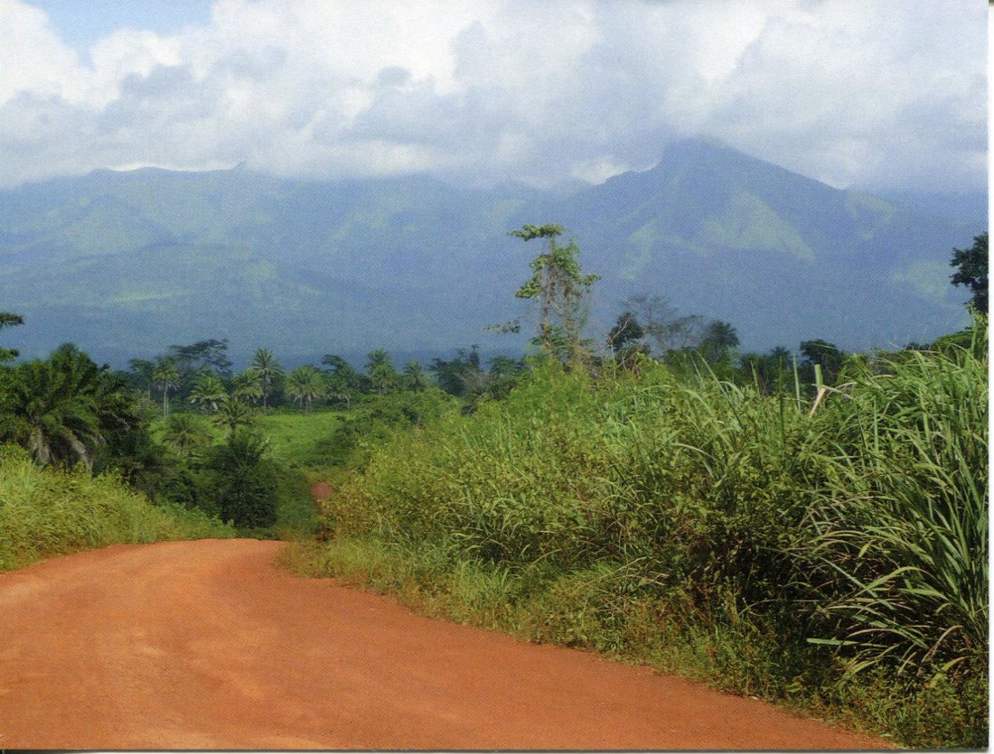 Guinea / Ivory Coast UNESCO - Mount Nimba Strict Nature Reserve